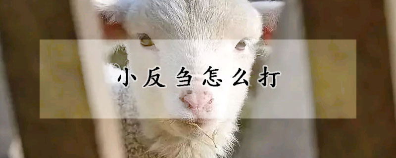 小反芻怎麼打