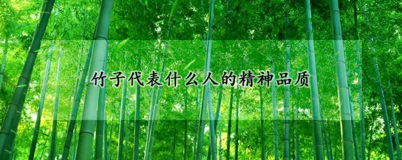 竹子代表什麼人的精神品質