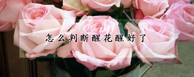 怎麼判斷醒花醒好了