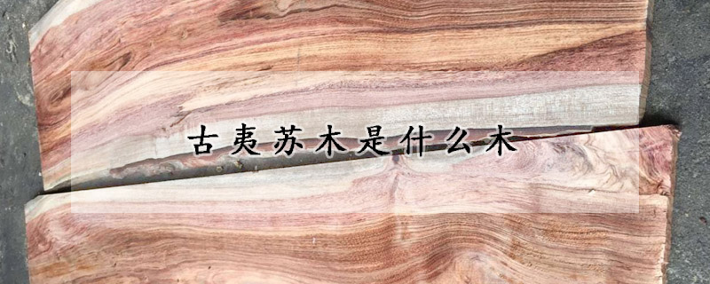 古夷蘇木是什麼木