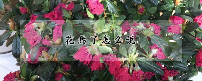 花焉了怎麼說