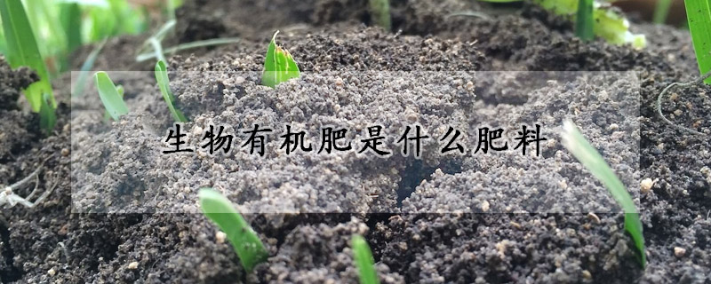 生物有機肥是什麼肥料