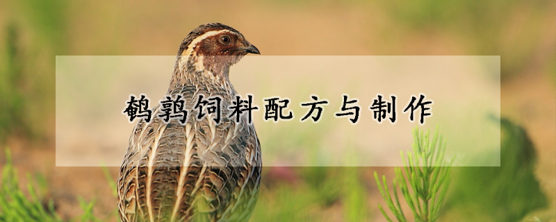 鵪鶉飼料配方與製作