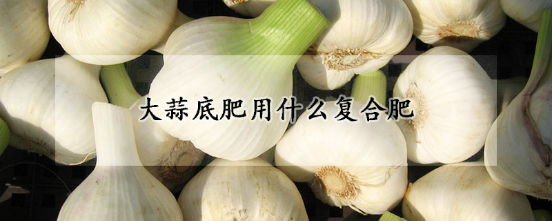 大蒜底肥用什麼複合肥