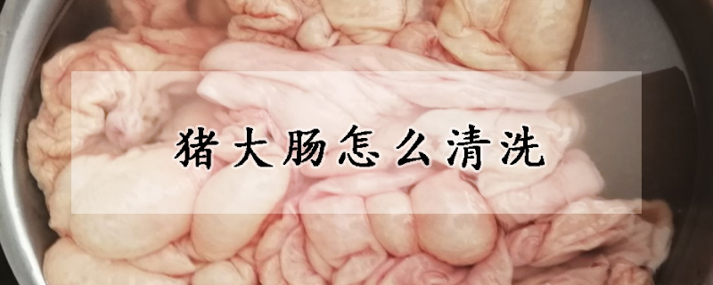 豬大腸怎麼清洗