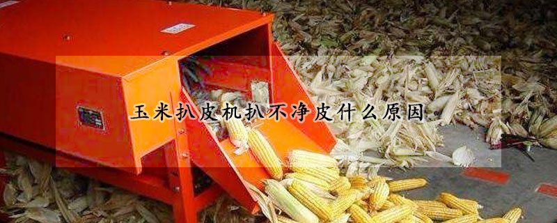 玉米扒皮機扒不淨皮什麼原因