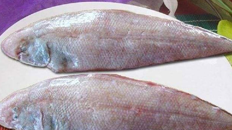 龍利魚是深海魚嗎