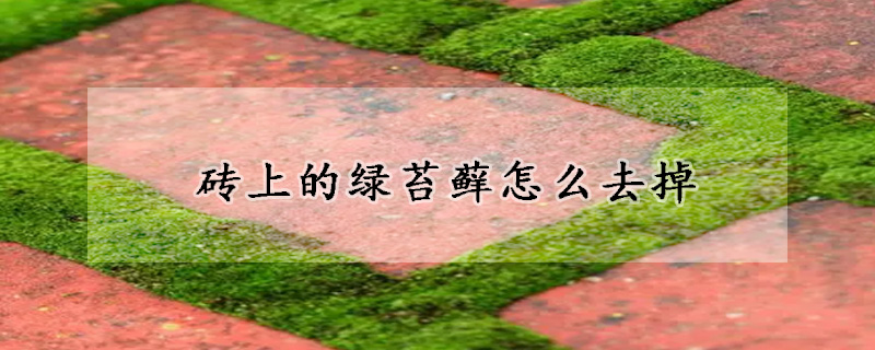 磚上的綠苔蘚怎麼去掉