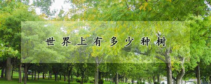 世界上有多少種樹