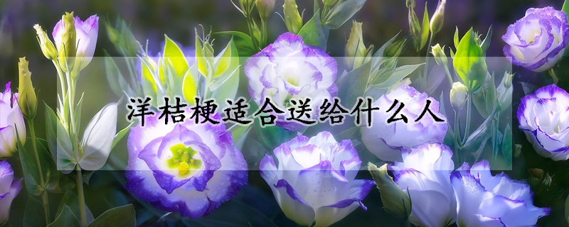 洋桔梗適合送給什麼人