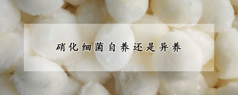 硝化細菌自養還是異養