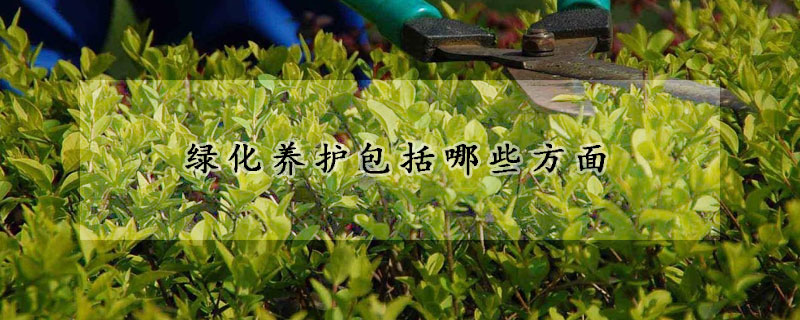 綠化養護包括哪些方麵