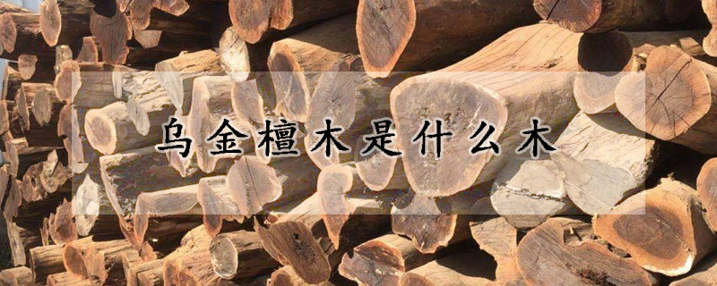 烏金檀木是什麼木