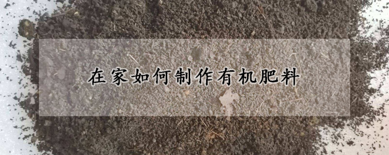 在家如何製作有機肥料