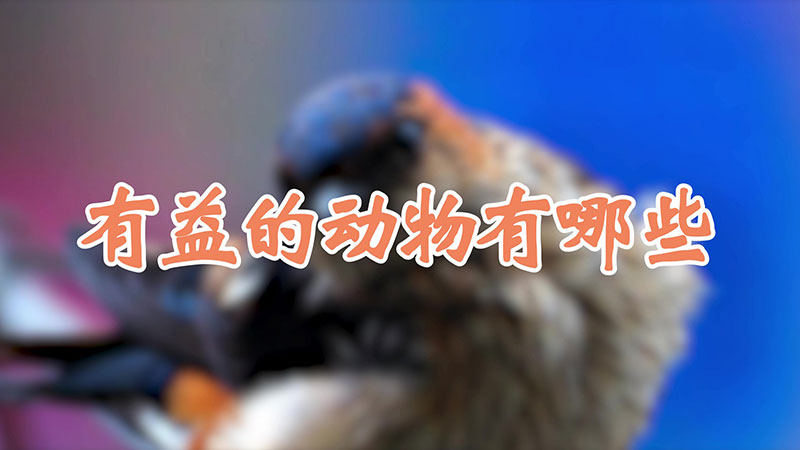 有益的動物有哪些