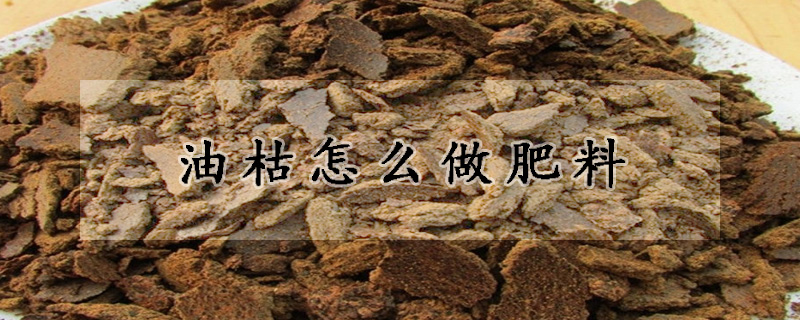 油枯怎麼做肥料
