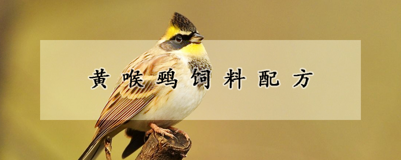 黃喉鵐飼料配方