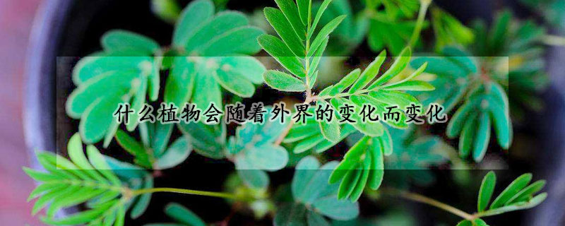 什麼植物會隨著外界的變化而變化