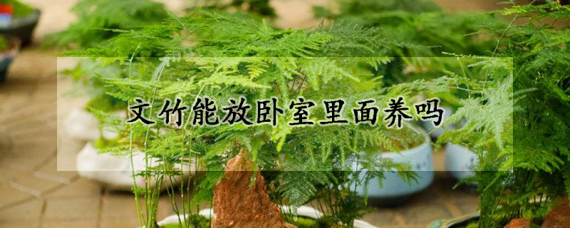 文竹能放臥室裏麵養嗎