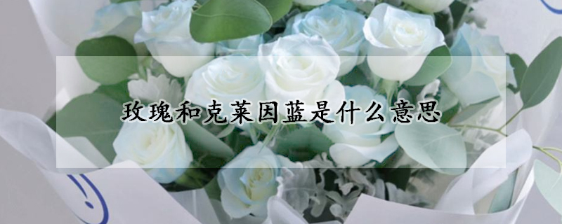 玫瑰和克萊因藍是什麼意思