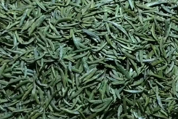竹葉青屬於什麼茶 竹葉青是什麼茶