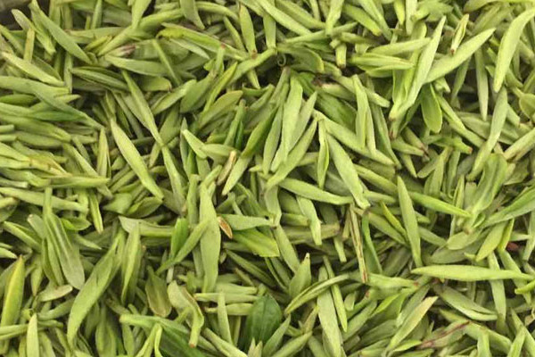 碧螺春是綠茶嗎 碧螺春屬於綠茶嗎