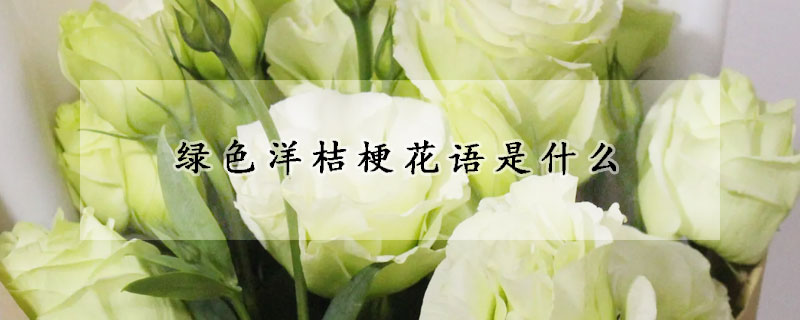綠色洋桔梗花語是什麼