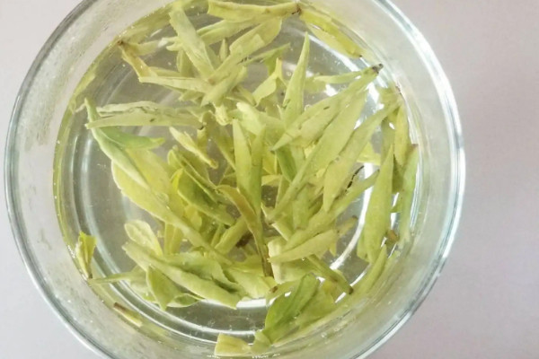 大佛龍井是綠茶嗎 大佛龍井是什麼茶