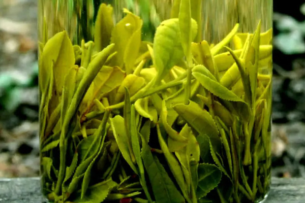 黃山毛峰是綠茶嗎 毛峰黃山屬於什麼茶