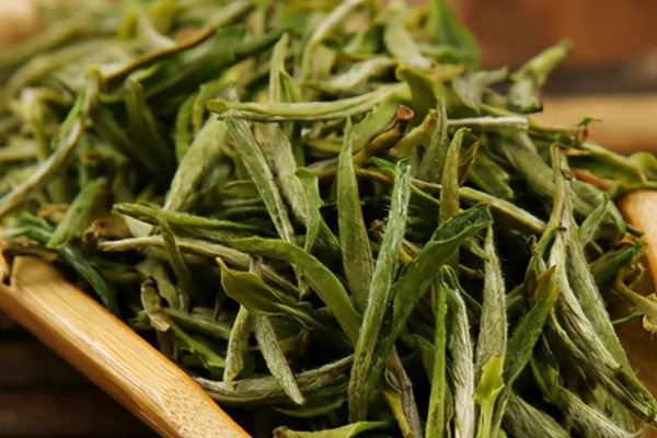 黃山毛峰是綠茶嗎 毛峰黃山屬於什麼茶