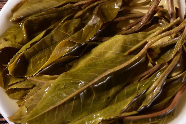 黃茶屬於什麼茶 黃茶是哪種茶