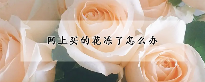 網上買的花凍了怎麼辦