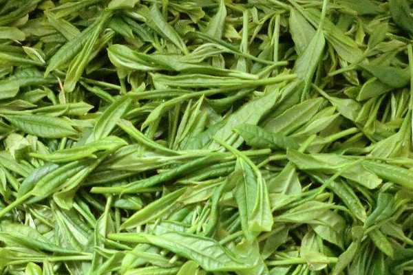 太平猴魁茶屬於什麼茶 太平猴魁是哪種茶