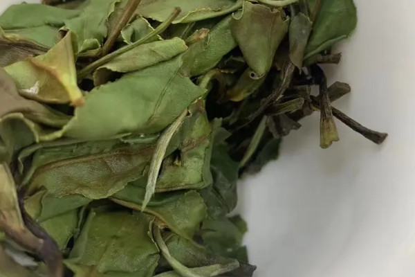 白牡丹和壽眉有什麼區別 白牡丹與壽眉的區別