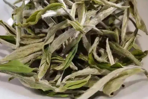 白牡丹和壽眉有什麼區別 白牡丹與壽眉的區別