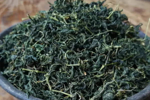 絞股藍茶原產地 絞股藍茶產自哪裏