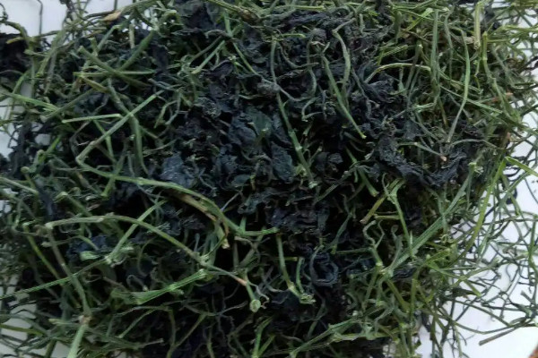 絞股藍茶原產地 絞股藍茶產自哪裏