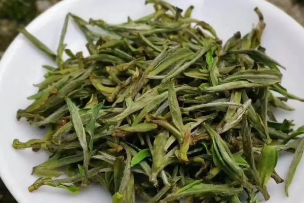 銀針茶屬於什麼茶,銀針是什麼茶類