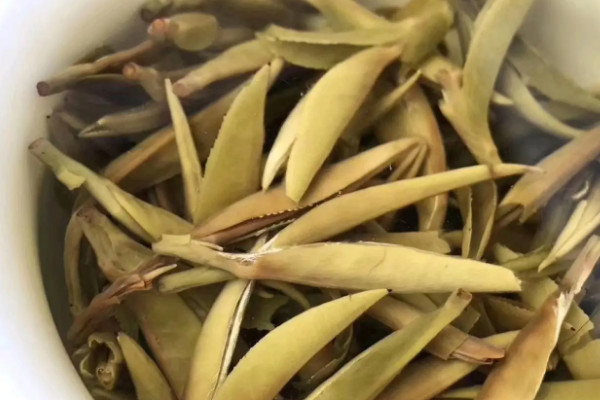 銀毫白針是什麼茶,銀毫白針屬於哪種茶類