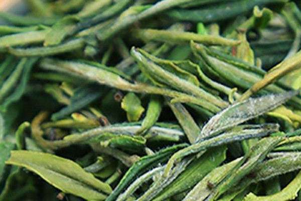 霍山黃芽屬於什麼茶類,霍山黃芽屬於黃茶嗎