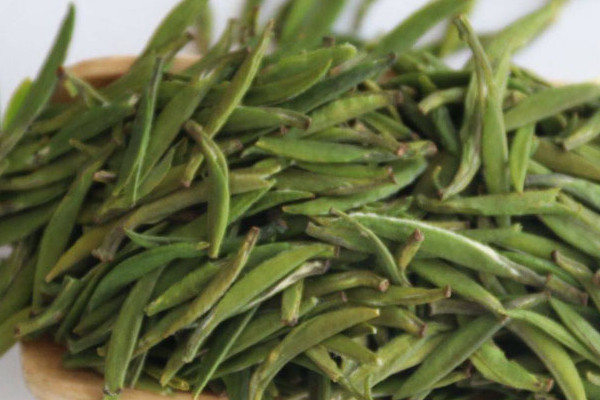 湄潭翠芽屬於什麼茶,湄潭翠芽是不是綠茶