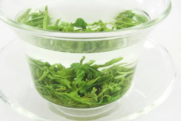 湄潭翠芽屬於什麼茶,湄潭翠芽是不是綠茶