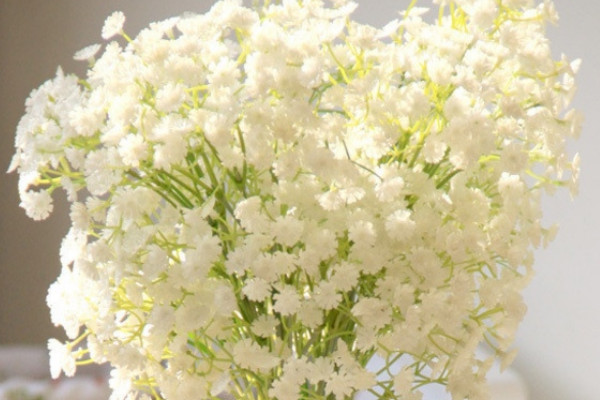 藍玫瑰滿天星什麼意思