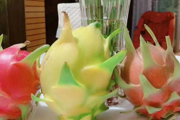 火龍果品種十大排名,最好吃的火龍果品種