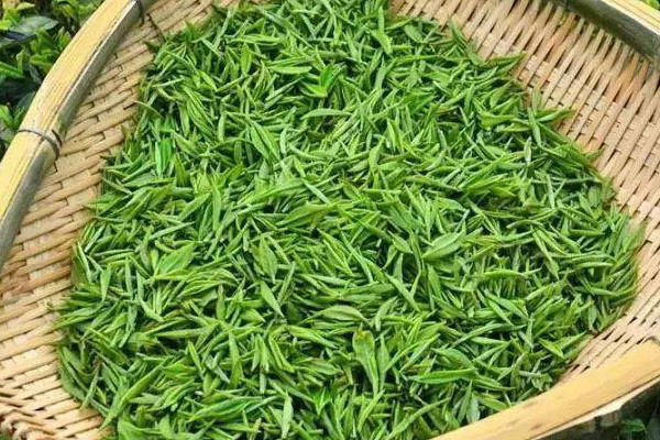 毛尖茶屬於綠茶嗎,毛尖是不是綠茶
