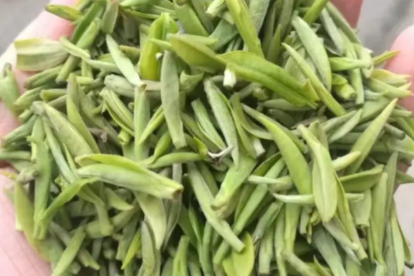 毛尖茶屬於綠茶嗎,毛尖是不是綠茶