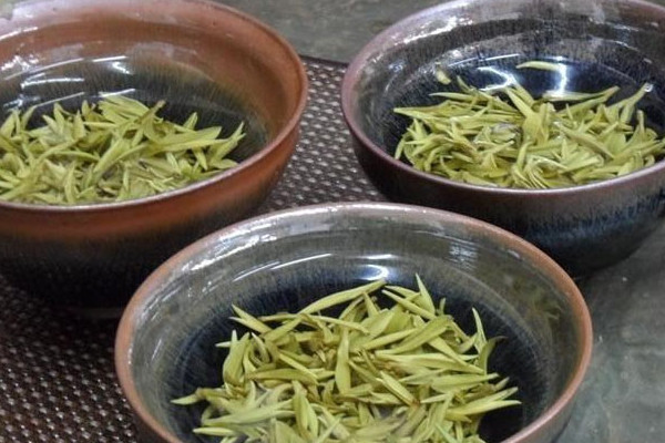 廬山雲霧茶屬於什麼茶,廬山雲霧茶是哪種茶
