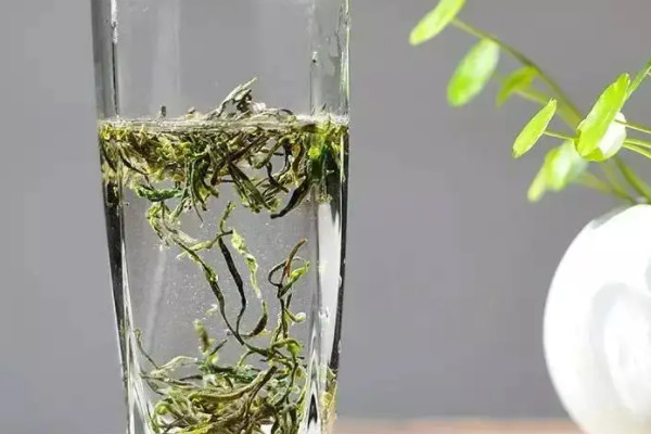 廬山雲霧是綠茶嗎,廬山雲霧是啥茶