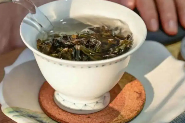 白芽奇蘭是紅茶還是綠茶，白芽奇蘭茶是什麼茶
