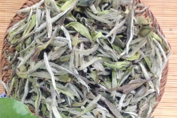 高山茶的特點,高山茶有什麼特點